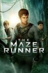 دانلود فیلم The Maze Runner 1 2014 دونده هزارتو ۱